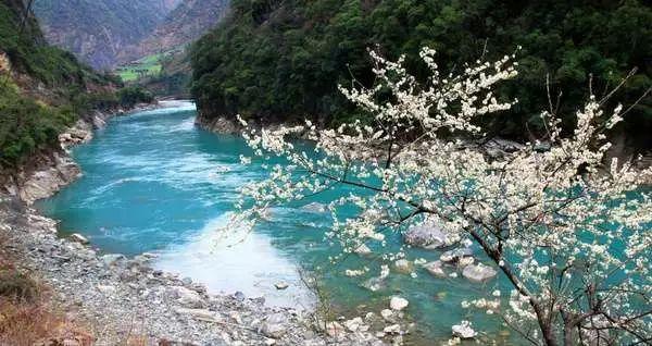 神秘的岛屿