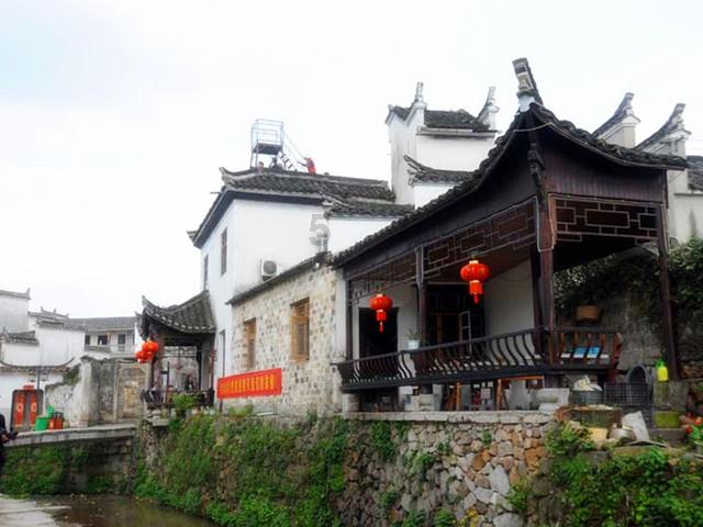 茂密丛林逃生