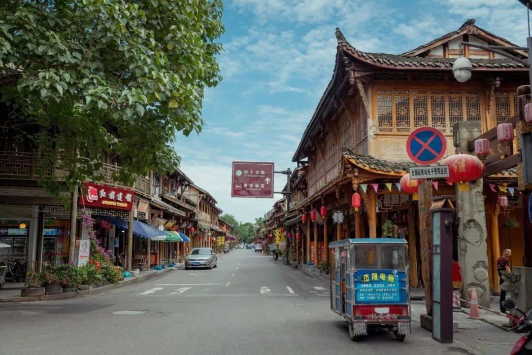 你的“毛孩子”安顿好了吗