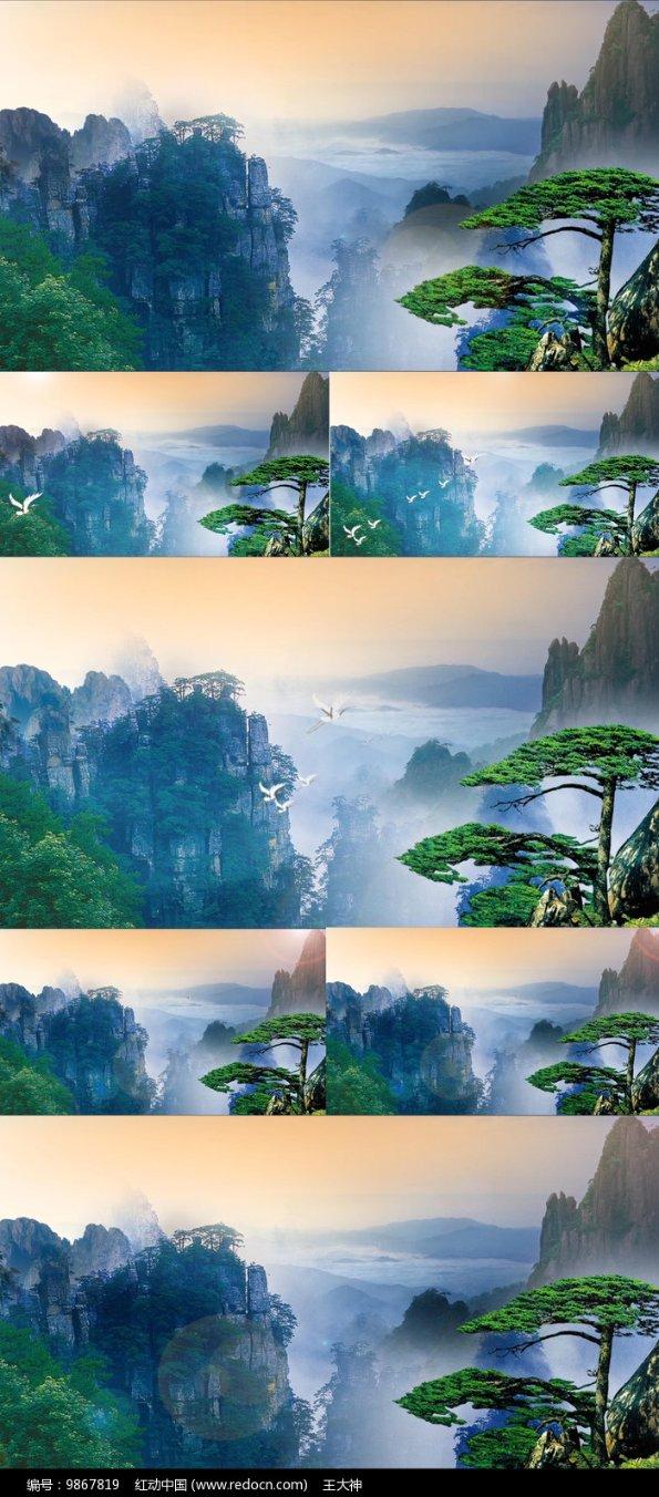 小猫钓鱼游戏龙王版有船